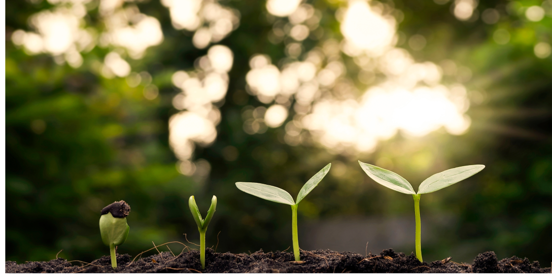 Development of Hydrogen Energy and Energy Storage Technologies for Net-Zero Emissions