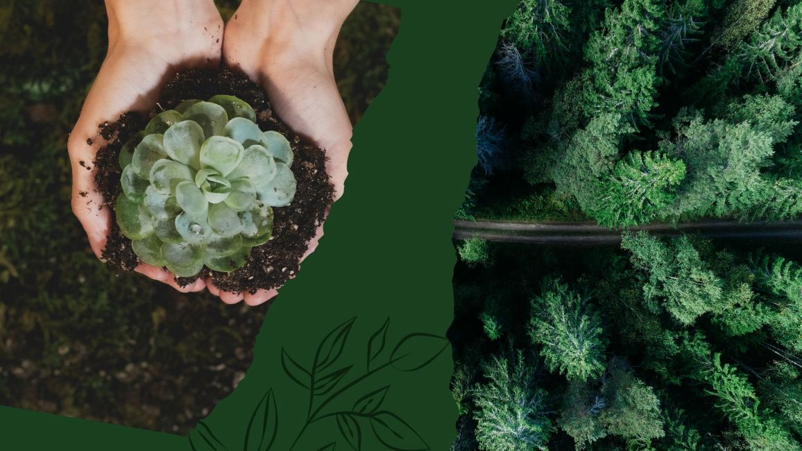 淨零排放之氫能與儲能技術開發